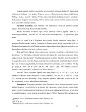 Šiaulių miesto urbanizacija tarpukaryje (1918 – 1941 metais) 16 puslapis