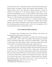 Šiaulių miesto urbanizacija tarpukaryje (1918 – 1941 metais) 17 puslapis