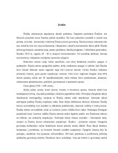 Šiaulių miesto urbanizacija tarpukaryje (1918 – 1941 metais) 3 puslapis