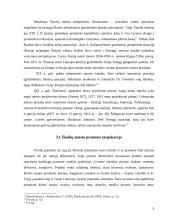 Šiaulių miesto urbanizacija tarpukaryje (1918 – 1941 metais) 9 puslapis