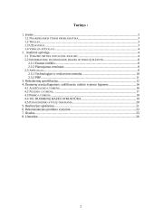 Šiaulių regiono turizmo informacinio centro administravimo programinė įranga 2 puslapis