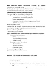 Šiaulių regiono turizmo informacinio centro administravimo programinė įranga 15 puslapis