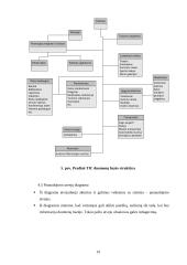 Šiaulių regiono turizmo informacinio centro administravimo programinė įranga 19 puslapis