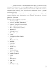 Šveicarijos viešojo sektoriaus valdymo reformos 10 puslapis