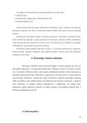 Šveicarijos viešojo sektoriaus valdymo reformos 13 puslapis