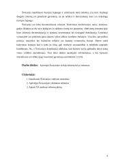 Šveicarijos viešojo sektoriaus valdymo reformos 3 puslapis