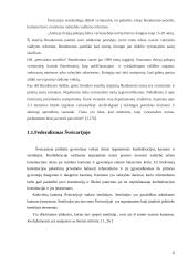 Šveicarijos viešojo sektoriaus valdymo reformos 5 puslapis