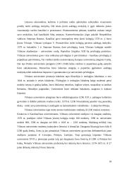 Teisės mokymas pirmuose Vakarų Europos universitetuose 16 puslapis