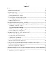 Termofikacija 2 puslapis