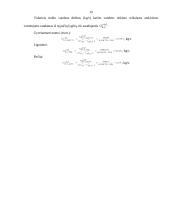 Termofikacija 19 puslapis