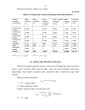 Termofikacija 20 puslapis