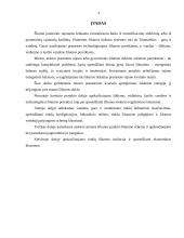 Termofikacija 3 puslapis