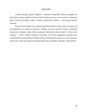 The gothic in Edgar Allan Poe's writings 18 puslapis