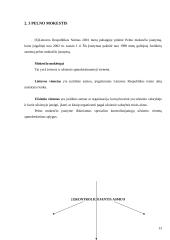 Tiesioginiai ir netiesioginiai mokesčiai 13 puslapis