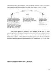 Tiesioginiai ir netiesioginiai mokesčiai 16 puslapis