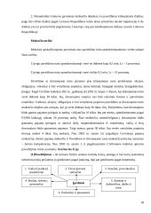 Tiesioginiai ir netiesioginiai mokesčiai 18 puslapis