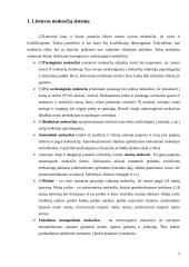 Tiesioginiai ir netiesioginiai mokesčiai 3 puslapis