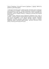 Užsieniečių registras 17 puslapis