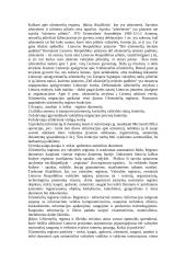 Užsieniečių registras 3 puslapis