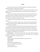 Vadovų / vadybininkų atsparumo stresui įvertinimas 2 puslapis