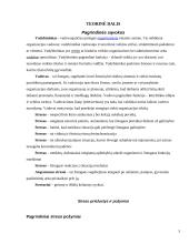 Vadovų / vadybininkų atsparumo stresui įvertinimas 4 puslapis