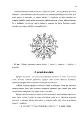 Traktorinių agregatų skaičiavimas 10 puslapis