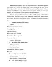 Trumpalaikės investicijos. Investicijų finansavimas: AB "Rokiškio sūris" 13 puslapis