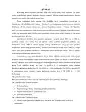 Trumpalaikės investicijos. Investicijų finansavimas: AB "Rokiškio sūris" 3 puslapis