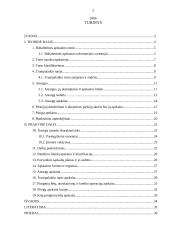 Trumpalaikio turto įkainojimas ir apskaita Daugų seniūnijoje 2 puslapis