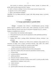 Trumpalaikio turto įkainojimas ir apskaita Daugų seniūnijoje 11 puslapis