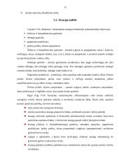 Trumpalaikio turto įkainojimas ir apskaita Daugų seniūnijoje 12 puslapis