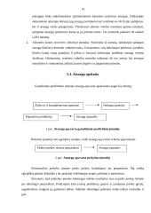 Trumpalaikio turto įkainojimas ir apskaita Daugų seniūnijoje 14 puslapis