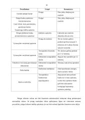 Trumpalaikio turto įkainojimas ir apskaita Daugų seniūnijoje 18 puslapis