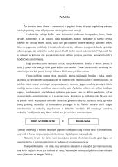 Trumpalaikio turto įkainojimas ir apskaita Daugų seniūnijoje 3 puslapis