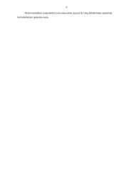 Trumpalaikio turto įkainojimas ir apskaita Daugų seniūnijoje 4 puslapis