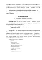 Trumpalaikio turto įkainojimas ir apskaita Daugų seniūnijoje 9 puslapis