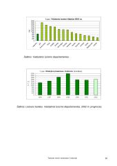 Turizmo verslo vystymasis Lietuvoje 11 puslapis
