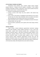 Turizmo verslo vystymasis Lietuvoje 12 puslapis