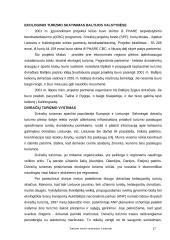 Turizmo verslo vystymasis Lietuvoje 18 puslapis