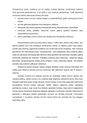 Turizmo verslo vystymasis Lietuvoje 19 puslapis