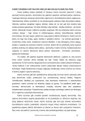 Turizmo verslo vystymasis Lietuvoje 20 puslapis