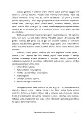 Turizmo verslo vystymasis Lietuvoje 4 puslapis