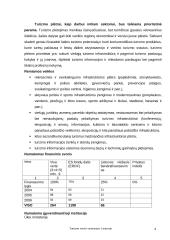 Turizmo verslo vystymasis Lietuvoje 5 puslapis