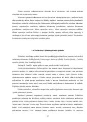 Ūkininko ūkio veiklos apskaita dvejybine sistema 17 puslapis