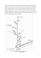 Upės hidroekologinis įvertinimas: Veiviržo upė 4 puslapis