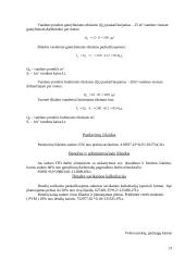 Veleno savikainos skaičiavimas 13 puslapis