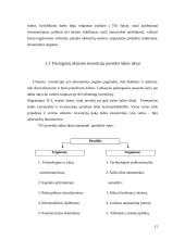 Užsienio investicijos Lietuvoje ir jų įtaka mokėjimų balanse 11 puslapis