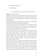 Užsienio investicijos Lietuvoje ir jų įtaka mokėjimų balanse 12 puslapis