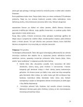 Užsienio investicijos Lietuvoje ir jų įtaka mokėjimų balanse 13 puslapis