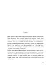 Užsienio investicijos Lietuvoje ir jų įtaka mokėjimų balanse 19 puslapis